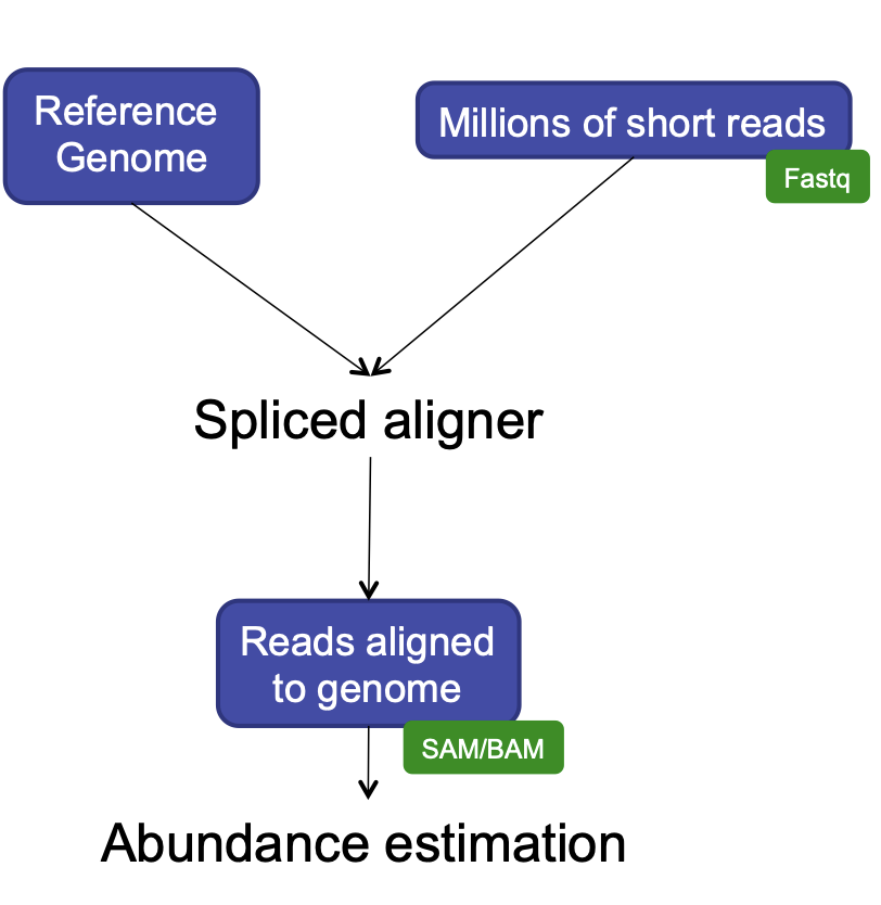How RNA-Seq data are aligned