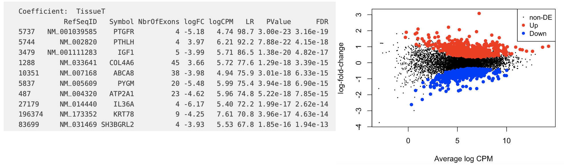 edgeR output shows differentially expressed gene table and a volcano plot