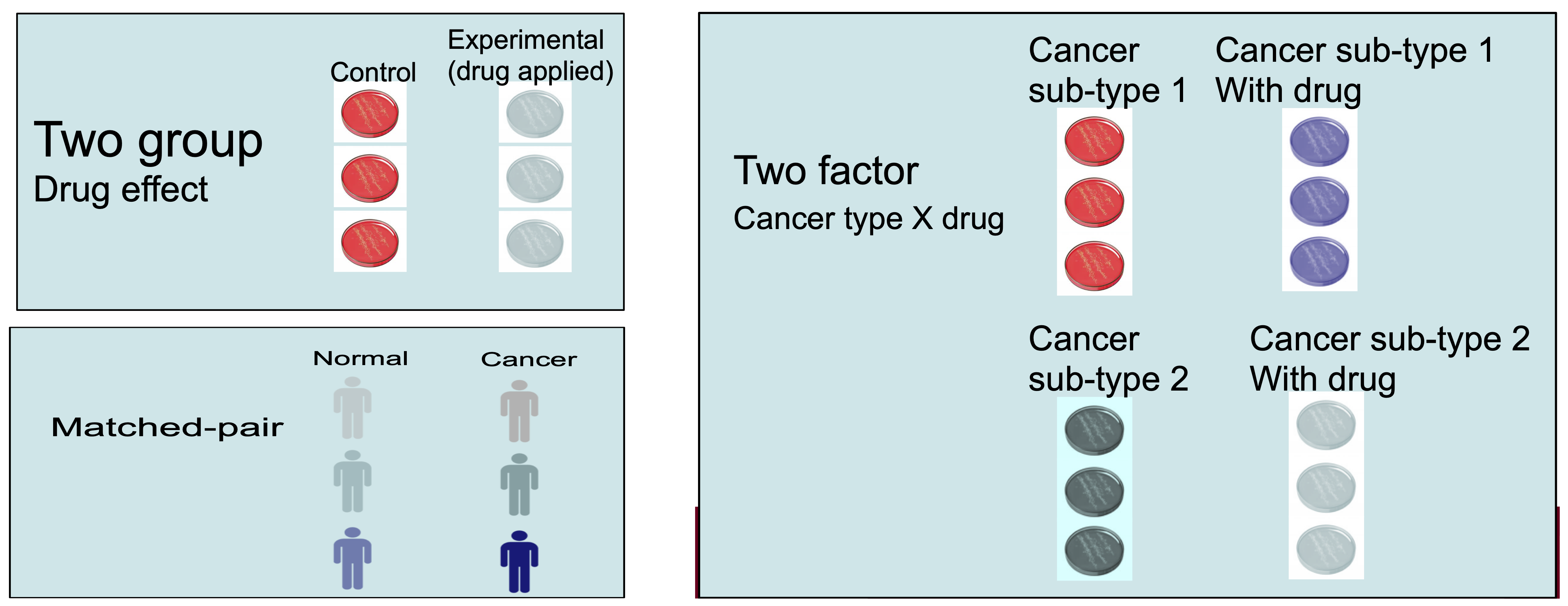 Example case-control experimental design