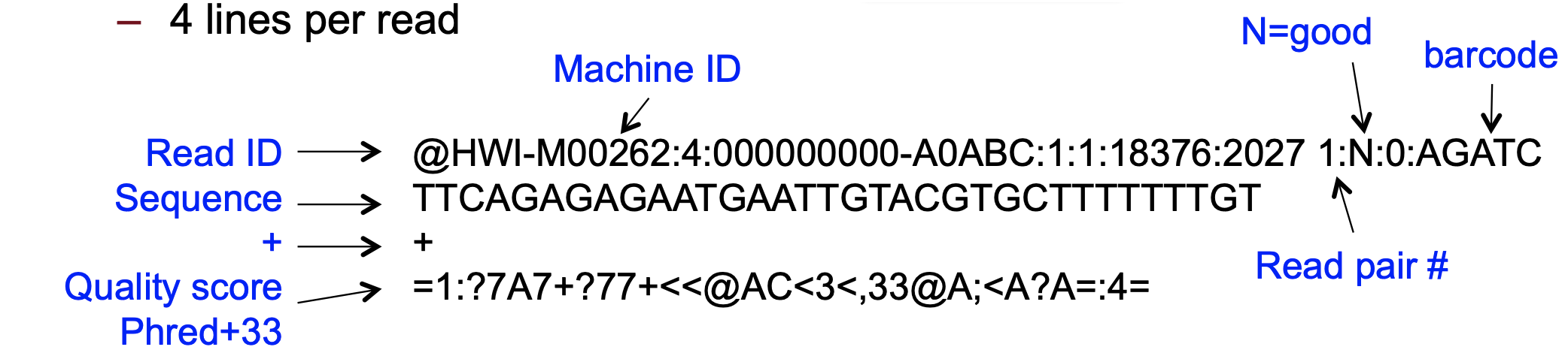 Diagram of fastq format