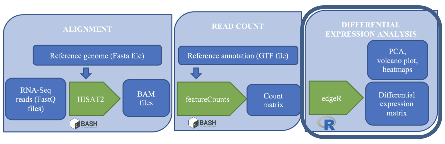 Now the workflow moves from bash to R