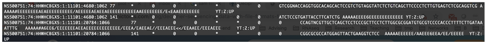 Typical hisat2 output in sam format