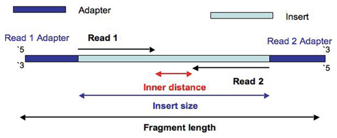 Removing unwanted or low-quality sequence